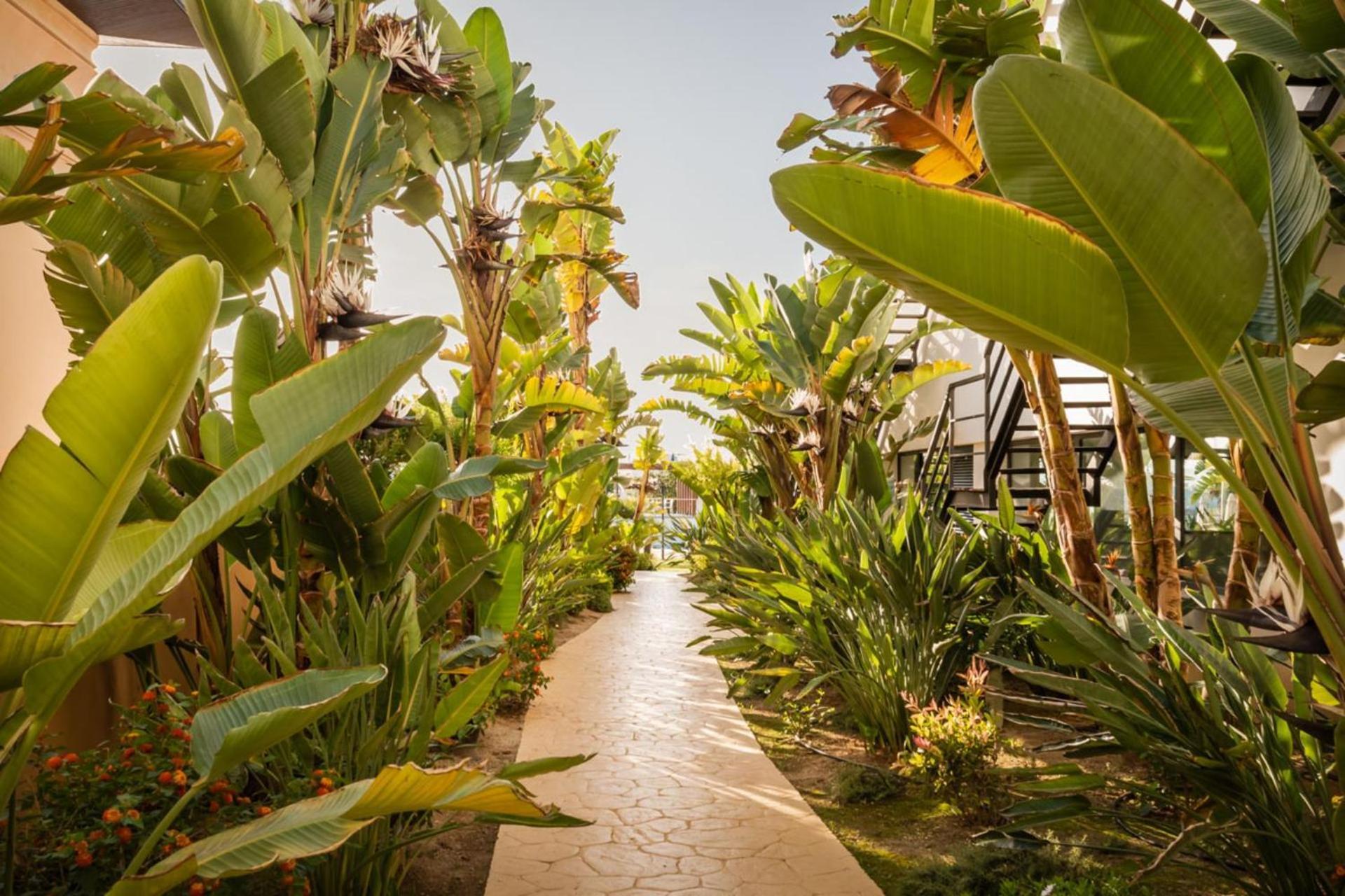 Alegria Palacio Mojacar - Adults Only Exterior foto